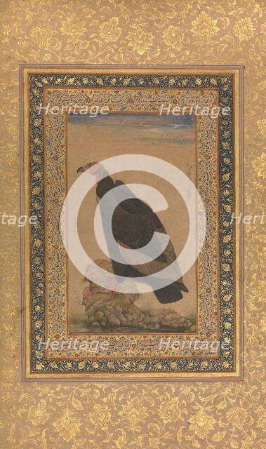 Red-Headed Vulture, Folio from the Shah Jahan Album, recto and verso: early 19th century. Creator: Unknown.