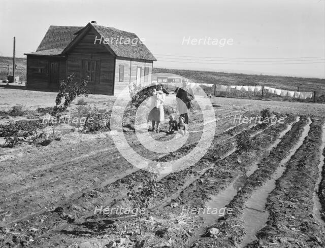 The Schroeder family, Dead Ox Flat, Malheur County, Oregon, 1939. Creator: Dorothea Lange.