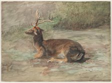 Recumbent Stag, second half 19th century. Creator: Rosa Bonheur (French, 1822-1899).