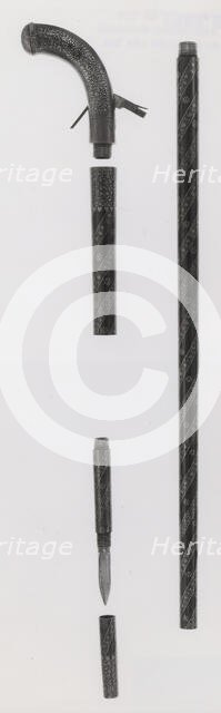 Combined Walking-Cane, Gun, Pistol, Sword, and Dagger, India subcontinent, mid-19th century. Creator: Unknown.