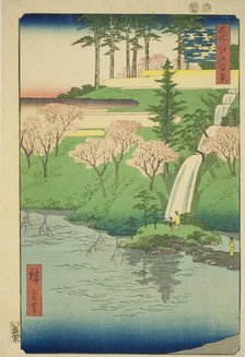 Chiyogaike Pond, Meguro (Meguro Chiyogaike), from the series "One Hundred Famous..., 1856. Creator: Ando Hiroshige.