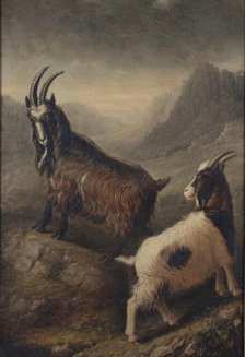 Two Welsh Goats, 1835. Creator: William Shiels.