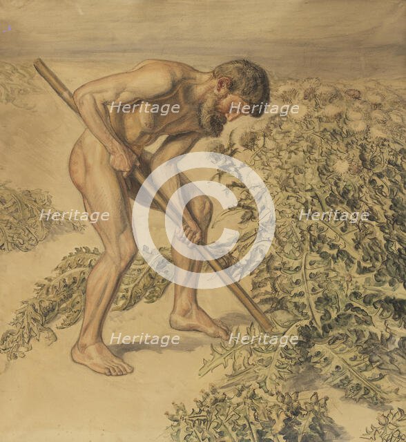 Adam drawing up Thistles, 1903. Creator: Joakim Skovgaard.