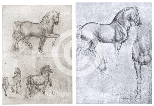 'Horses', c1490-1510. Artist: Leonardo da Vinci