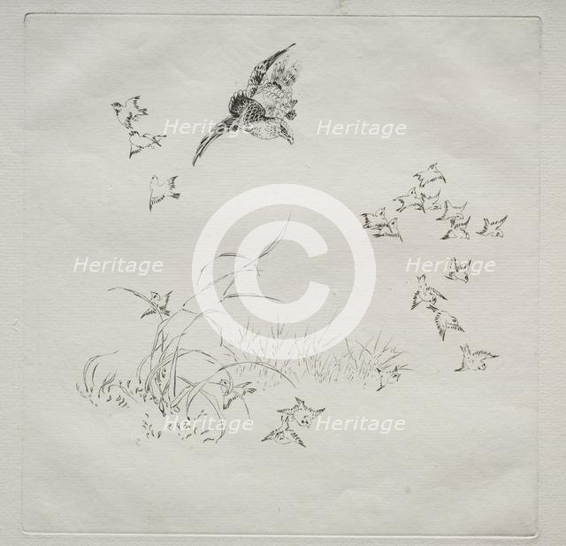 Parisian Service (Haviland service): The Terror (no. 4), 1875. Creator: Félix Bracquemond (French, 1833-1914).