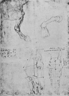'Studies of Horses' Fore-Legs and Measured Drawings of Horses' Heads', c1480 (1945). Artist: Leonardo da Vinci.