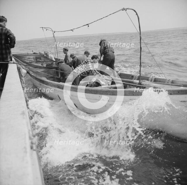 On board the fishing boat Alden, out of Gloucester, Massachusetts, 1943. Creator: Gordon Parks.