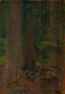 Forest study, 1890-1910. Creator: Ferdinand Katona.