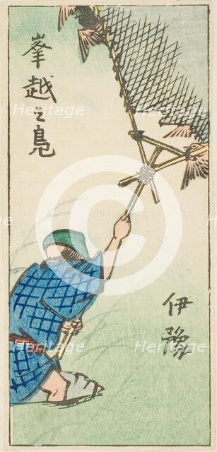 Catching Wild Ducks in Iyo Province (Iyo, okoshi no kamo), section of sheet no. 16..., 1852. Creator: Ando Hiroshige.