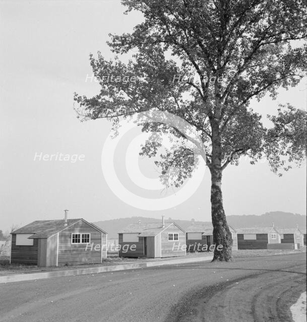 Shows new type of wooden shelter for migratory workers, near McMinnville, Oregon, 1939. Creator: Dorothea Lange.