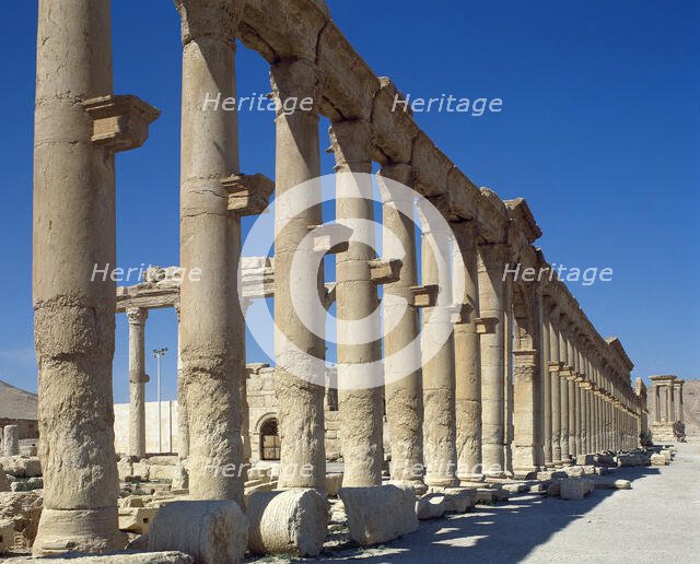 Colonnade, ruins of Palmyra, Syria, 3rd century, (2001).  Creator: LTL.