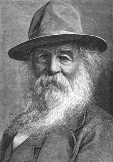 Walt Whitman (1819-1892), American poet, c1880s. Artist: Unknown