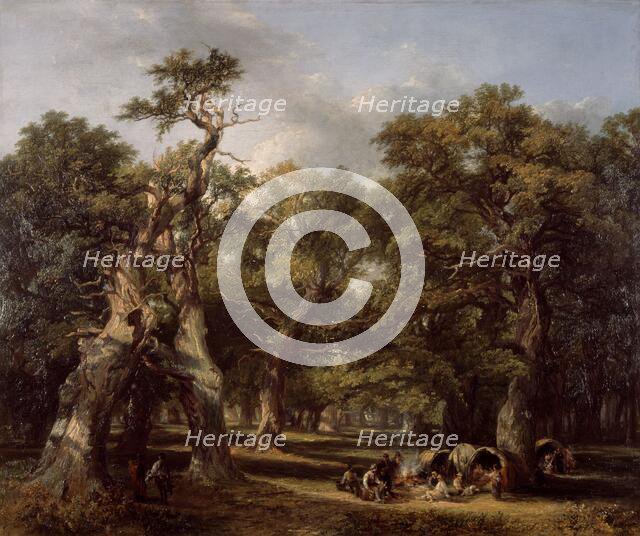 A Forest Glade, Arden, Warwickshire, 1845. Creator: Frederick Henry Henshaw.