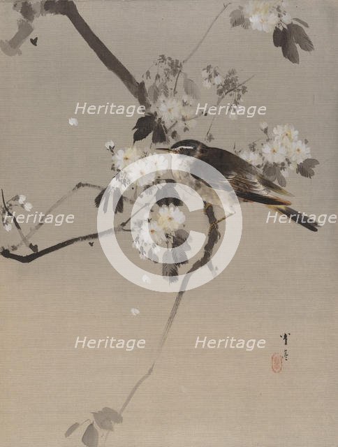 Birds on a Flowering Branch, ca. 1887. Creator: Watanabe Seitei.