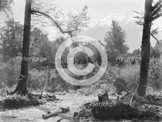 Mount Alexander, West Coast Road, c1880s. Creator: Burton Brothers.