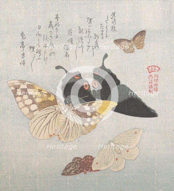 Various moths and butterflies, 19th century. Creator: Kubo Shunman.