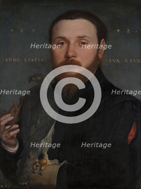 Portrait of a Nobleman with a hawk. Creator: Hans Holbein the Younger.