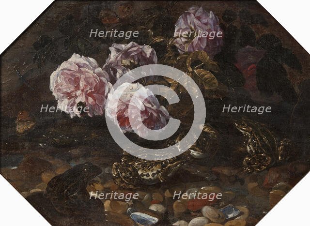 Frogs, Wild Roses, Shells and Butterflies, mid-late 17th century. Creator: Paolo Porpora.