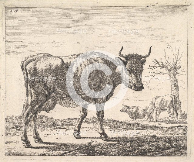 Three Cows. Creator: Adriaen van de Velde.