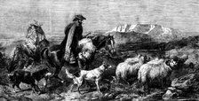 "Tired Sheep - Glen Spean, Scotland", by R. Ansdell, from the exhibition of the Royal Academy, 1862. Creator: W Thomas.