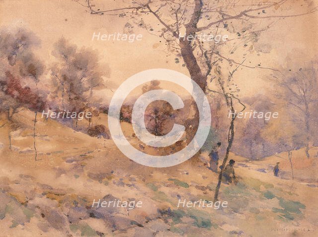 Landscape, n.d. Creator: William Henry Holmes.