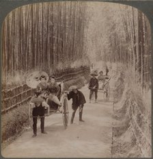 Under the bamboo trees - on the famous avenue near Kiyomizu, Kyoto, Japan, 1904. Artist: Unknown.