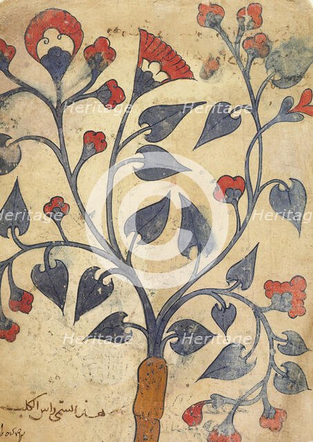 Page from an Herbal Manuscript (image 2 of 2), 13th century. Creator: Unknown.