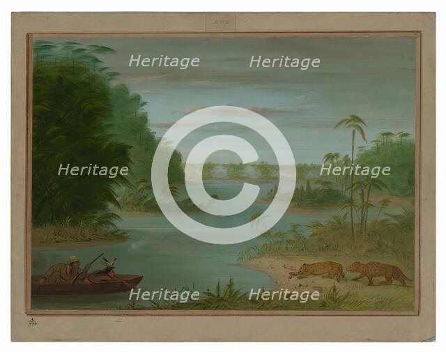 Pont de Palmiers and Tiger Shooting, 1854/1869. Creator: George Catlin.