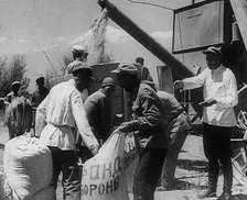 Russian Civilians Gathering Grain, 1941. Creator: British Pathe Ltd.