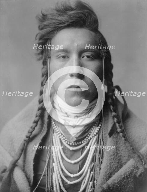 Bird on High Land, c1908. Creator: Edward Sheriff Curtis.