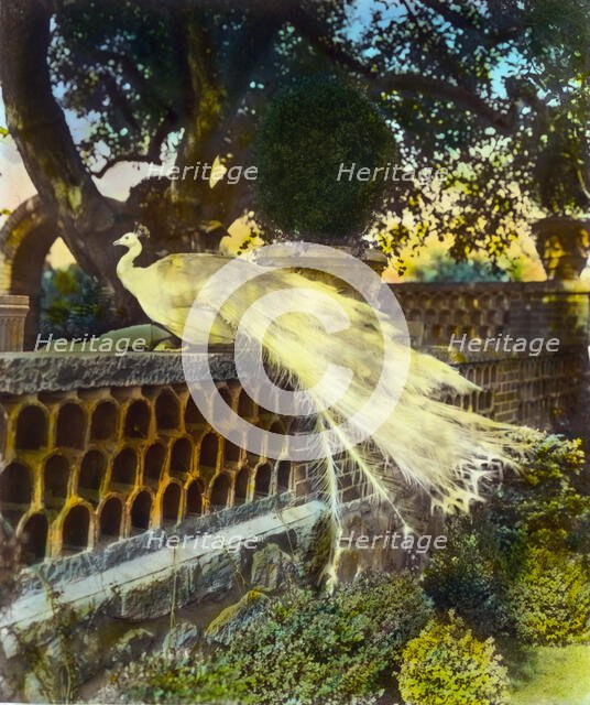 "Quiet Corner," John Wesley Baxter, Dublin and Hill Roads, Greenwich, Connecticut, 1920. Creator: Frances Benjamin Johnston.