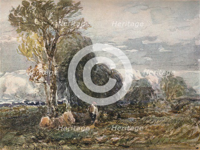 'The Woodcutter', 1858. Artist: David Cox the elder.