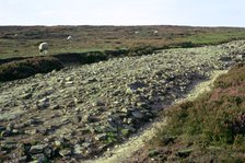 Roman road on Wheeldale Moor. Artist: Unknown