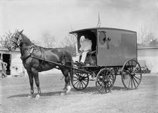 Horse Shows - Horse And Wagon, 1911. Creator: Harris & Ewing.