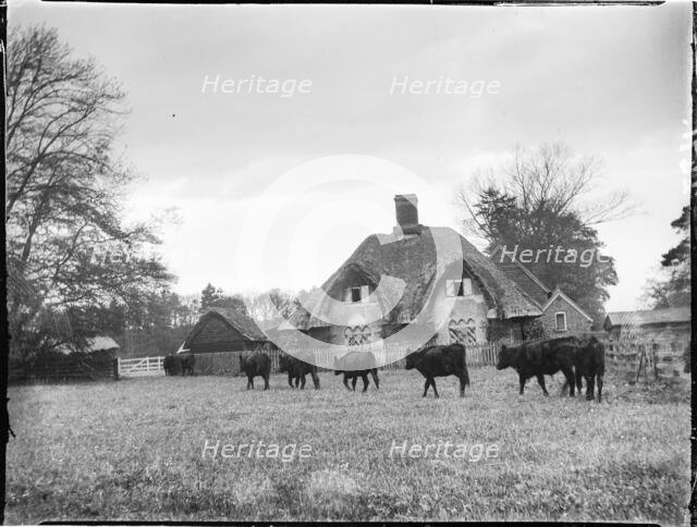 Great Hampden, Great And Little Hampden, Wycombe, Buckinghamshire, 1910. Creator: Katherine Jean Macfee.