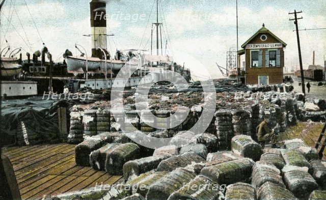 Cotton wharves, New Orleans, Louisiana, USA, early 20th century. Artist: Unknown