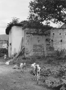 Travel views of Cuba and Guatemala, between 1899 and 1926. Creator: Arnold Genthe.