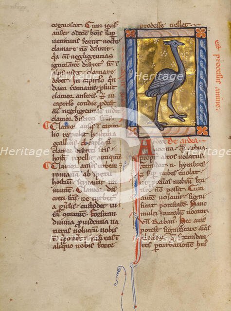 A Heron; Bestiary, about 1270. Creator: Unknown.