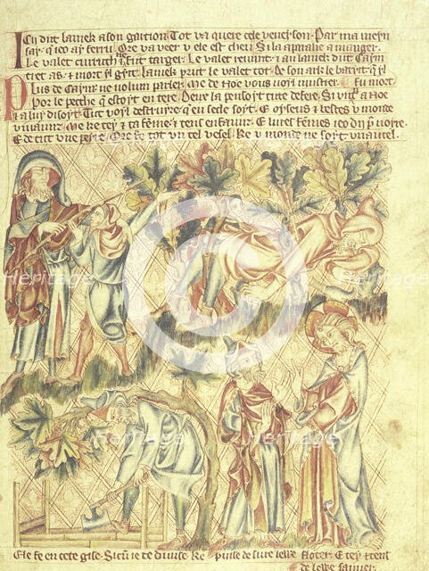 Lamech kills his son, and Noah is warned of the flood, c1320-1330.  Creator: Unknown.