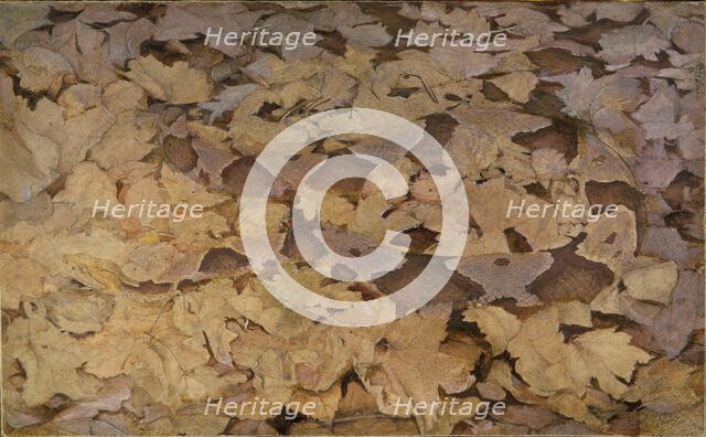 Copperhead Snake on Dead Leaves, study for book Concealing Coloration in the Animal Kingdom. Creator: Abbott Handerson Thayer.