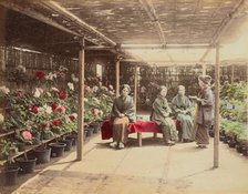 Flower Show, 1870s-1890s. Creator: Kusakabe Kimbei.