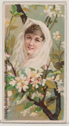 Orange Blossom: Maidenly Reserve, from the series Floral Beauties and Language of Flowers ..., 1892. Creator: Donaldson Brothers.