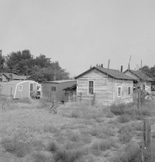 Possibly: Yakima shacktown, (Sumac Park) is one of several large shacktown..., Washington, 1939. Creator: Dorothea Lange.
