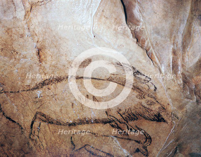 Paleolithic cave-painting of a bison and ibex. Artist: Unknown