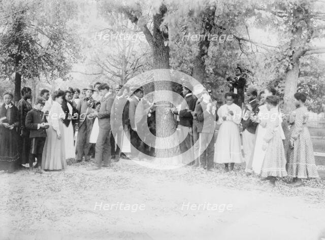Studying botany, Tuskegee, between c1910 and c1915. Creator: Bain News Service.