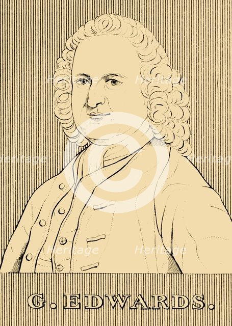 'G. Edwards', (1694- 1773), 1830. Creator: Unknown.