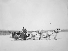 Horses pulling U.S. Mail sled, between c1900 and 1927. Creator: Unknown.