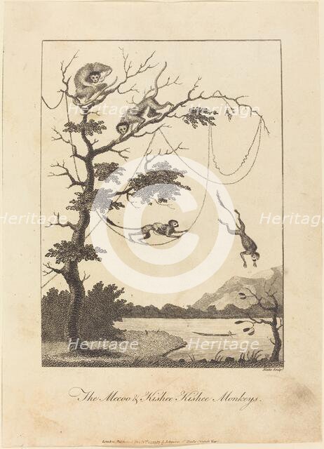The Mecoo & Kisbee Kishee Monkeys, 1793. Creator: William Blake.