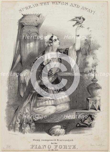 Spread Thy Wings and Away!. Creator: Albert Newsam.