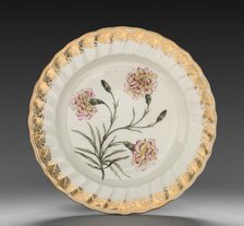 Plate from Dessert Service: Picatee Carnation, c. 1800. Creator: Derby (Crown Derby Period) (British).